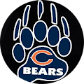 Momma Bear Avatar
